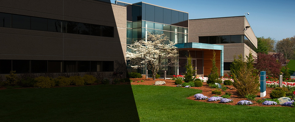 Eagle Mountain Landscapers
