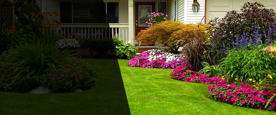 Eagle Mountain Landscapers