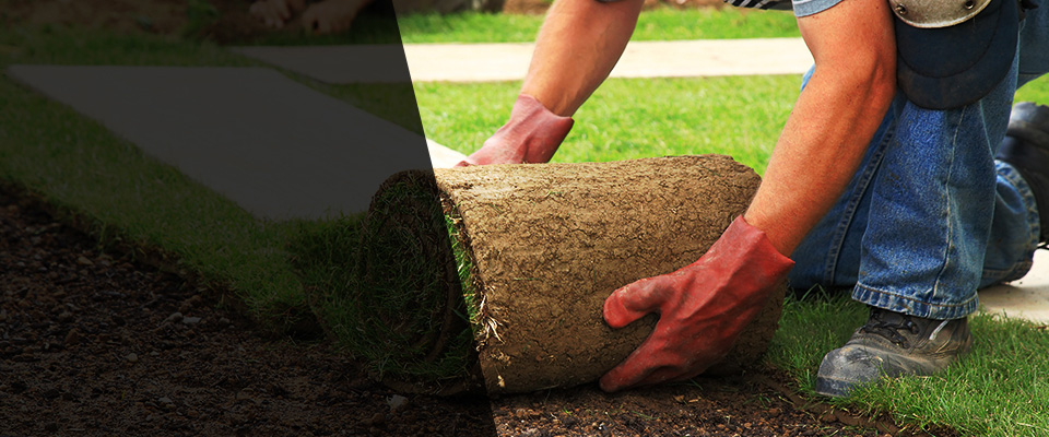 Eagle Mountain Landscapers
